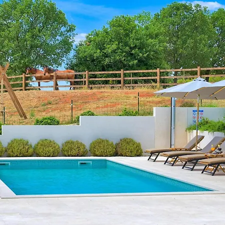 Vitassi Holiday home Pula
